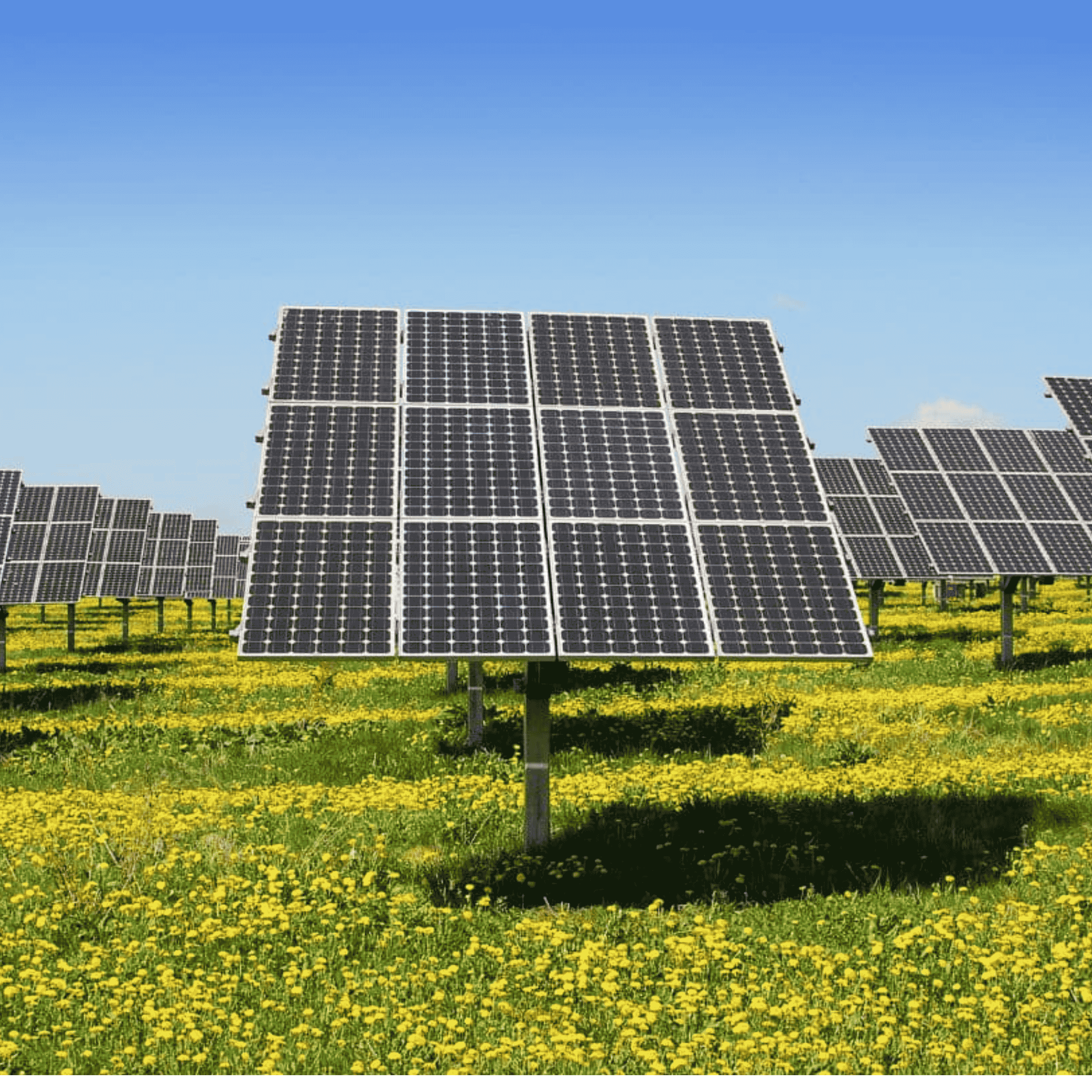 Post para Instagram Aviso Importante 3D Naranja (2400 x 2400 px) (5)